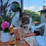 Σπίτι διακοπών La Casetta Della Nonna Caprese Michelangelo