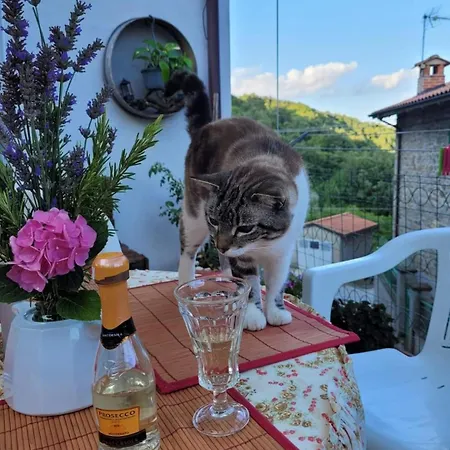 Feriehus La Casetta Della Nonna Caprese Michelangelo
