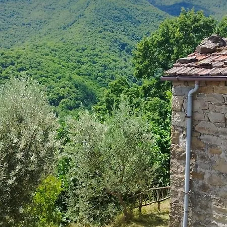 La Casetta Della Nonna Σπίτι διακοπών Caprese Michelangelo
